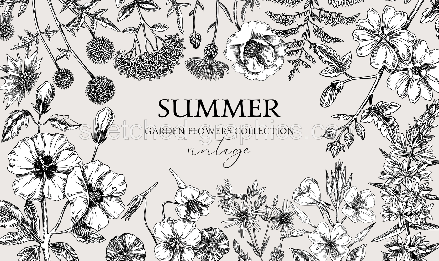 Vintage summer background. Garden flowers frame design in sketch style. Hand drawn botanical illustration. Floral banner for prints, cards, posters Illustration